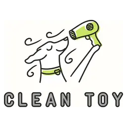Логотип Clean Toy