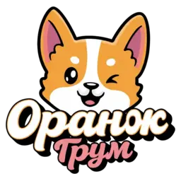 Логотип Оранж Грум