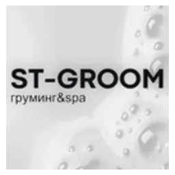 Логотип ST-Groom